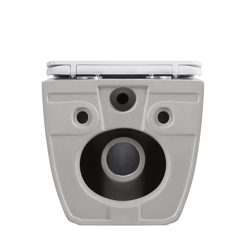 WC KOMPLEKTAS SU POTINKINIU RĖMU IR MYGTUKU WC326 12 WC KOMPLEKTAS SU POTINKINIU RĖMU IR MYGTUKU WC326 12