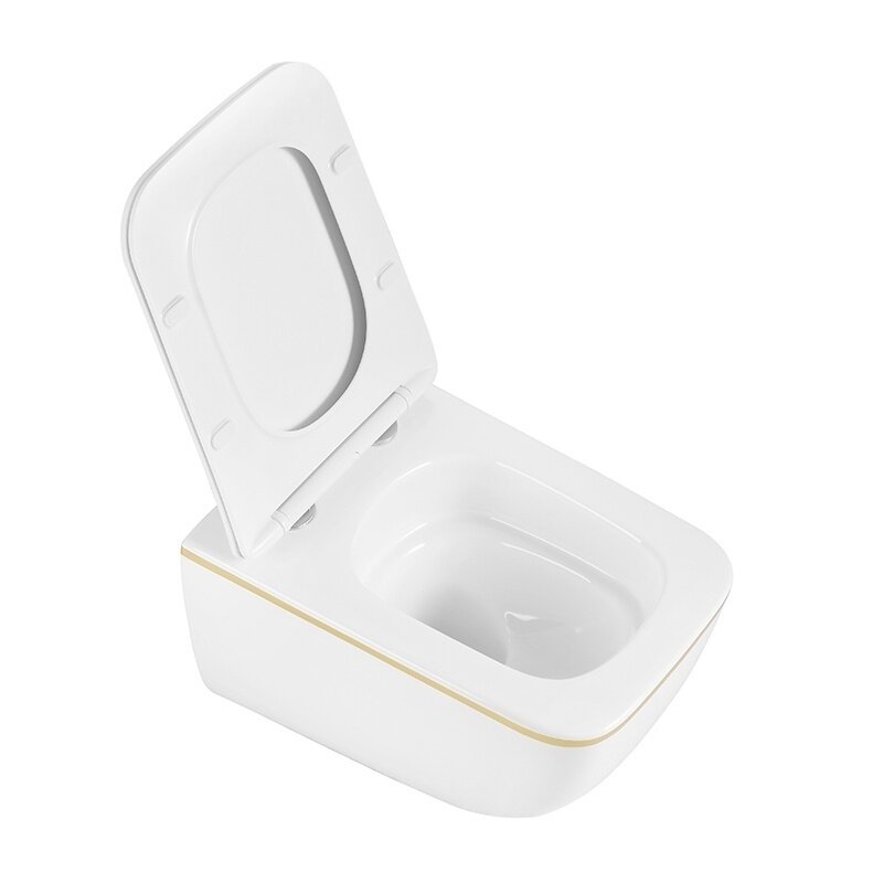 WC KOMPLEKTAS SU POTINKINIU RĖMU IR MYGTUKU WC302 7