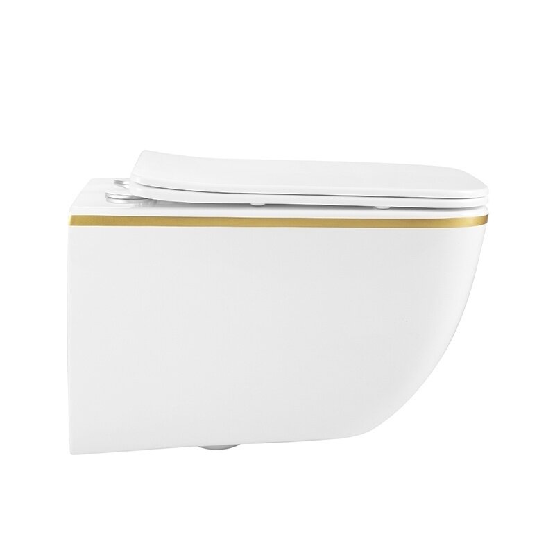 WC KOMPLEKTAS SU POTINKINIU RĖMU IR MYGTUKU WC300 5 WC KOMPLEKTAS SU POTINKINIU RĖMU IR MYGTUKU WC300 5