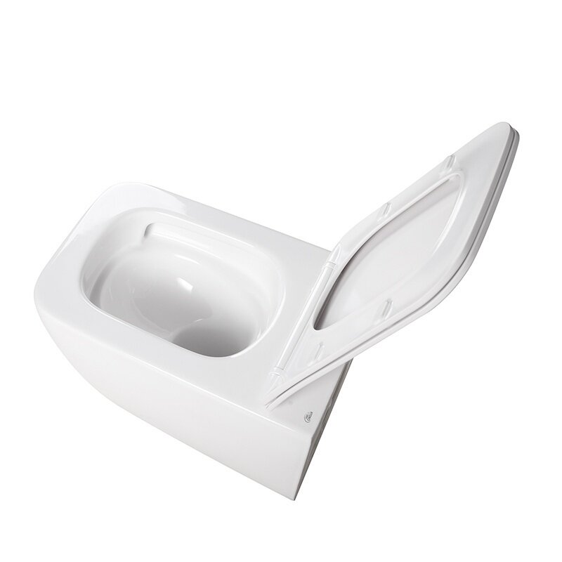 WC KOMPLEKTAS SU POTINKINIU RĖMU IR MYGTUKU WC324 9