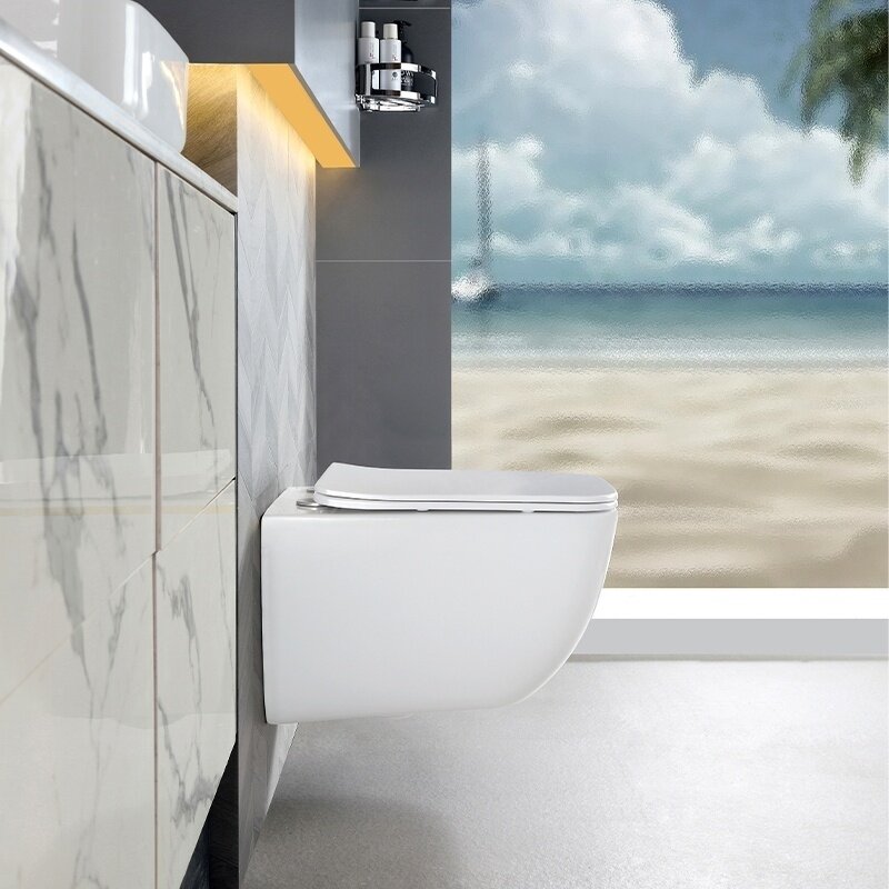 WC KOMPLEKTAS SU POTINKINIU RĖMU IR MYGTUKU WC324 6