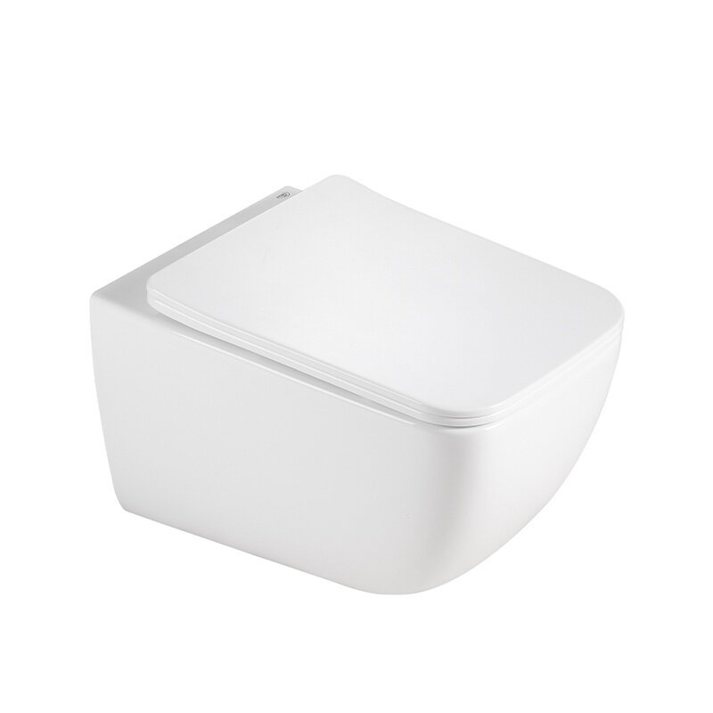 WC KOMPLEKTAS SU POTINKINIU RĖMU IR MYGTUKU WC323 3 WC KOMPLEKTAS SU POTINKINIU RĖMU IR MYGTUKU WC323 3