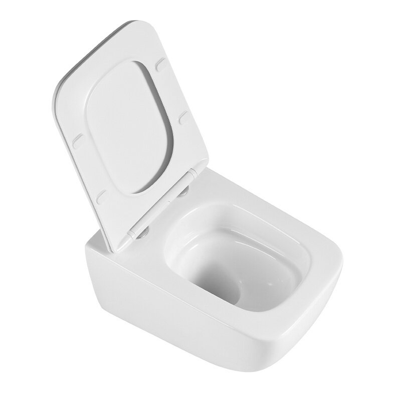 WC KOMPLEKTAS SU POTINKINIU RĖMU IR MYGTUKU WC323 7 WC KOMPLEKTAS SU POTINKINIU RĖMU IR MYGTUKU WC323 7