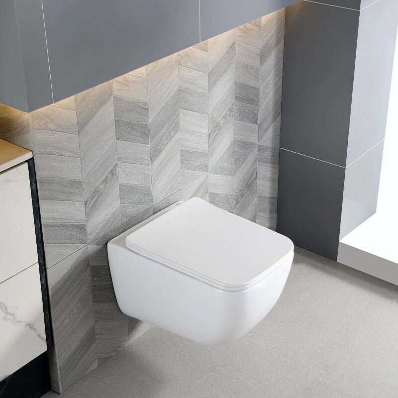 WC KOMPLEKTAS SU POTINKINIU RĖMU IR MYGTUKU WC322 8