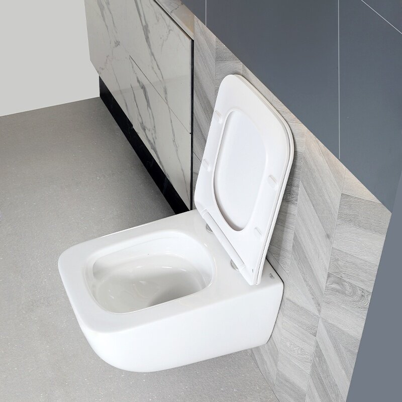 WC KOMPLEKTAS SU POTINKINIU RĖMU IR MYGTUKU WC322 10